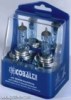 kobalt21